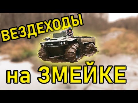 Видео: ТОРФЯНАЯ ЗМЕЙКА зимой. Медведь ПРО и Лесник