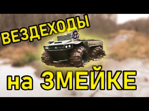 Видео: ТОРФЯНАЯ ЗМЕЙКА зимой. Медведь ПРО и Лесник