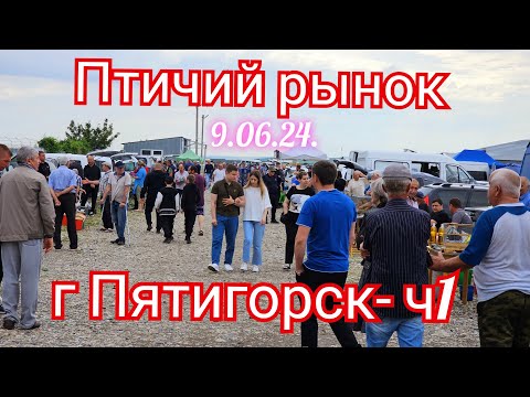 Видео: Голуби цены Птичий рынок г Пятигорск -ч1