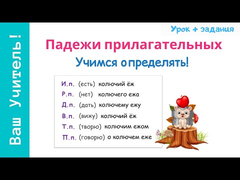 Видео: Падежи прилагательных. Как определить падеж прилагательного?