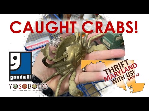 Видео: Я ловил крабов в Мэриленде! 🦀 И он нашёл гнездо! 🪺 Присоединяйтесь к нам в благотворительной орга...