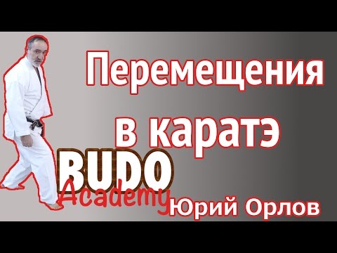 Видео: Техника перемещений в каратэ. Юрий Орлов