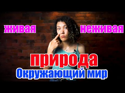 Видео: Окружающий мир для малышей. Живая и неживая природа