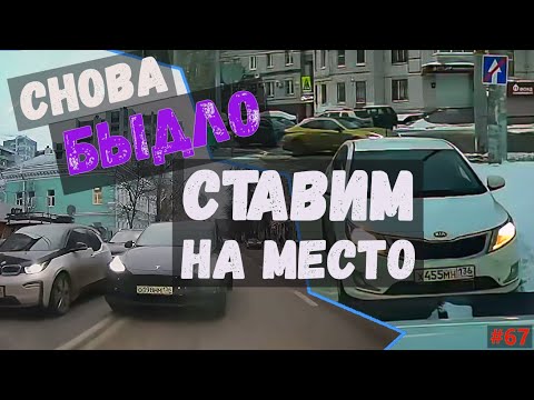 Видео: БЫДЛО СНОВА СТАВИМ НА МЕСТО! Воронеж. выпуск №67 + Видосы от подписчиков