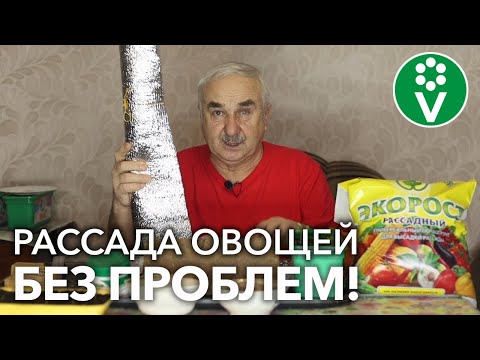 Видео: ВЫ ТОЖЕ СОВЕРШАЕТЕ ЭТИ ОШИБКИ ПРИ ПОСЕВЕ! Доступные СПОСОБЫ избежать проблем РАССАДЫ