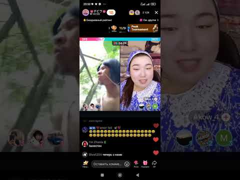 Видео: Акош vs Чивиля   акош чивиляны шошқамен сүйістірді