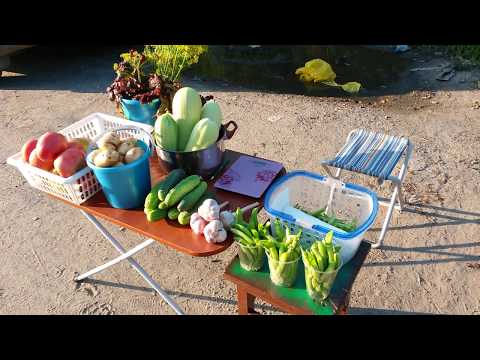 Видео: Что и по чём покупают на трассе?  МОЙ РЕКОРД!!