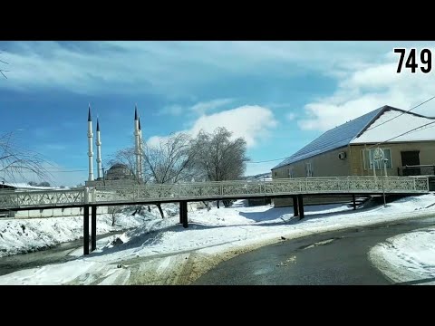 Видео: Аллерой. 19 февраля 2021 г.