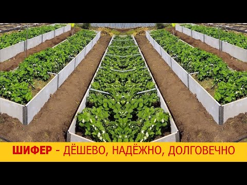 Видео: Фирменные Высокие Вечные грядки из ШИФЕРА BF tech