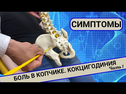 Видео: БОЛИТ КОПЧИК. Кокцигодиния (Часть 1)