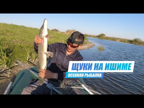 Видео: Осенняя Рыбалка с Ночевкой и Комфортом на Ишиме. Ловим Щуку на Перемёт