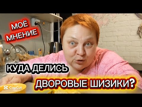 Видео: УЖИН или ЗАВТРАК 😁 ОБЗОРЫ на блогеров! Влог болталка