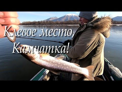 Видео: Рыбалка душу радует! Камчатка 2021