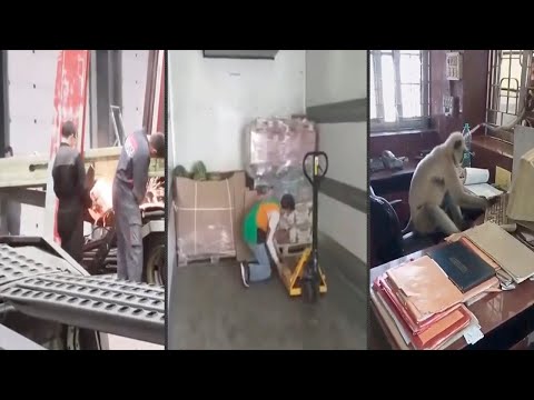 Видео: СУМАСШЕДШИЕ рабочие будни ПОДБОРКА | Первый рабочий день