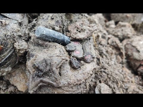 Видео: Нашли мл. ПОЛИТРУКА (РККА), медальон.