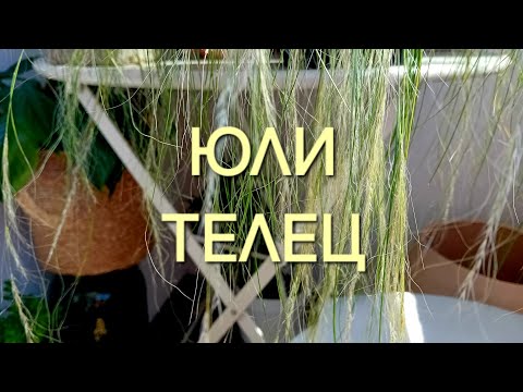 Видео: 🌼 Месец Юли за зодия Телец 🌼