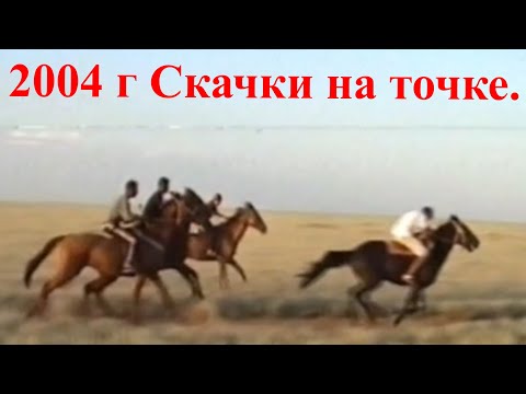 Видео: Счастливые люди.Калмыкия