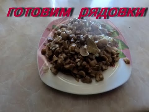 Видео: Готовим рядовки. Самый быстрий  способ приготовления.