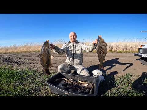 Видео: Рыбалка с подводной камерой или сазаны в канаве. Рыбалка на сазана. Рыбалка на паук подъемник.