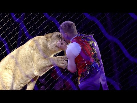 Видео: Артисты цирка, закулисье: кто они? что за люди? как живут?