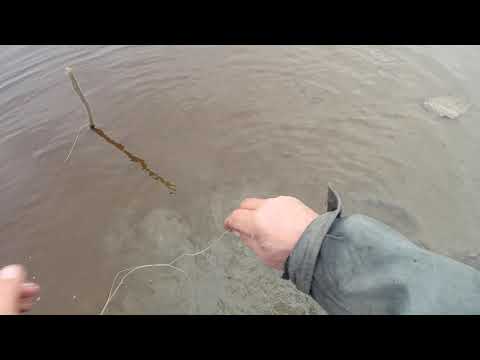Видео: Рыбалка.   Жерлицы  с  берега  по  простому..