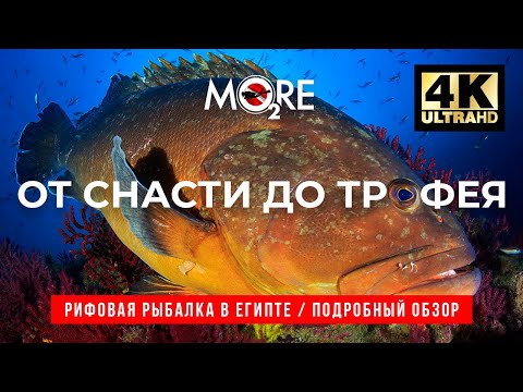 Видео: Самый подробный FAQ по рыбалке с берега в Красном море. Где ловить? На что? Как добраться? #Хургада