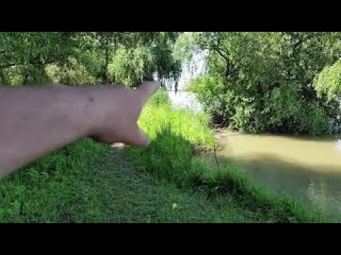 Видео: Дикие места на островах в Вилково. Рыбалка на трофейных карпов. Дунай.Отдых.