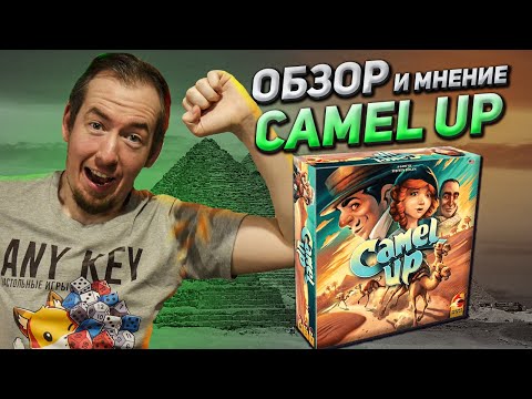 Видео: Обзор игры Camel Up!