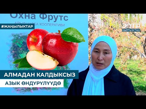 Видео: АЛМАДАН КАЛДЫКСЫЗ АЗЫК ӨНДҮРҮЛҮҮДӨ