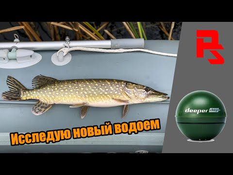 Видео: Нашёл эхолотом и она клюнула! Незнакомый водоем. Deeper chirp+