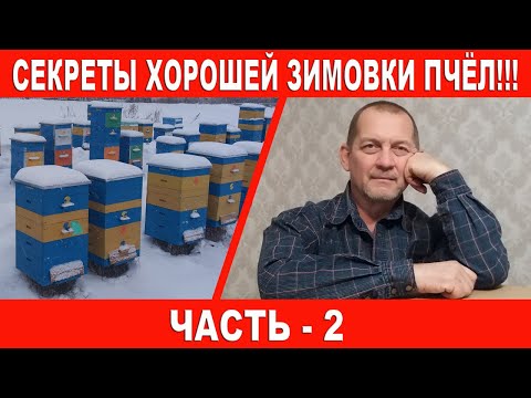 Видео: Секреты хорошей зимовки пчёл | Часть 2