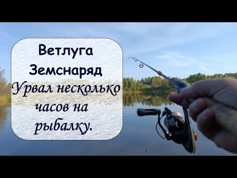 Видео: Ветлуга. Земснаряд. Урвал несколько часов на рыбалку