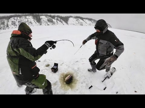 Видео: ВСЕ РЫБАКИ СБЕЖАЛИСЬ ПОМОЧЬ ЕГО ДОСТАТЬ. ЯКУТИЯ. ПЕРВЫЙ ЛЁД