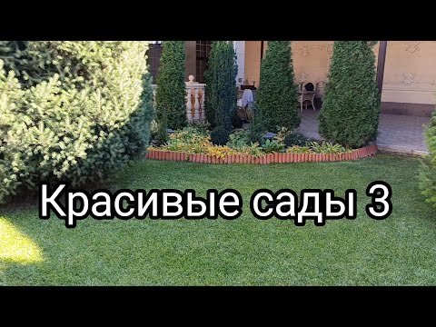 Видео: Красивый сад 3. Ландшафтный дизайн