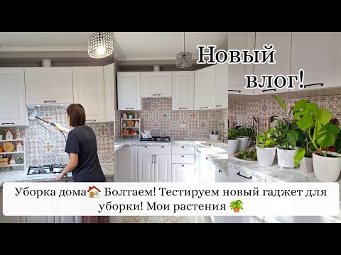 Видео: Большой влог! Уборка, тестируем новый гаджет для уборки🏠 Болтаем! Мои комнатные растения🪴