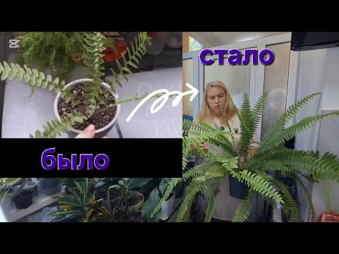 Видео: Как подросли растения. Было~стало.