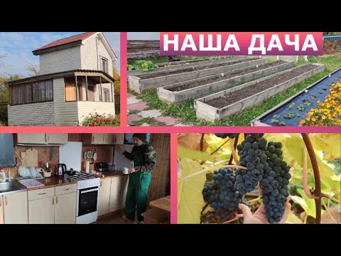 Видео: Обзор нашей дачи.