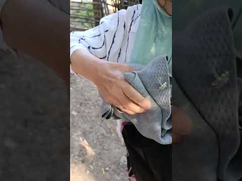 Видео: наши приключения в горах 2