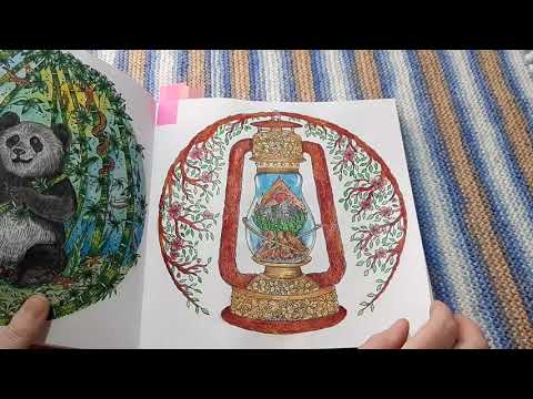 Видео: Челлендж Раскрашиваем Круг жизни 48 часов