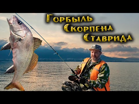 Видео: Горбыль на самодур. Рыбалка на черном море летом в Геленджике 2022.