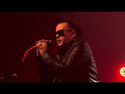 Видео: ПТВП • ПОСЛЕДНИЕ ТАНКИ В ПАРИЖЕ - ПОРЯДОК ВЕЩЕЙ • 2025/Питер