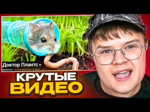 Видео: КАША СМОТРИТ ИНТЕРЕСНЫЕ НАУЧНЫЕ ВИДЕО ПРО ЖИВОТНЫХ