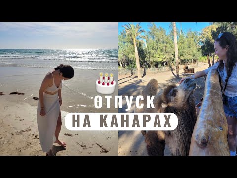 Видео: Канарские острова в январе. День рождения у океана. Фуертевентура