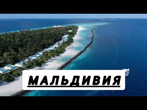 Видео: Мальдивия аралы. Мальдивия аралы туралы не білесіз?