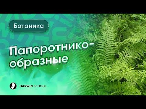 Видео: Тема №1: Папоротникообразные