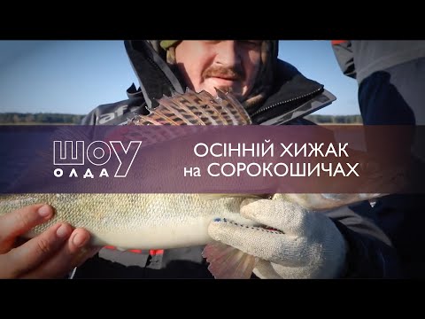 Видео: Осінній Хижак на Сорокошичах | ШоуОлда №200