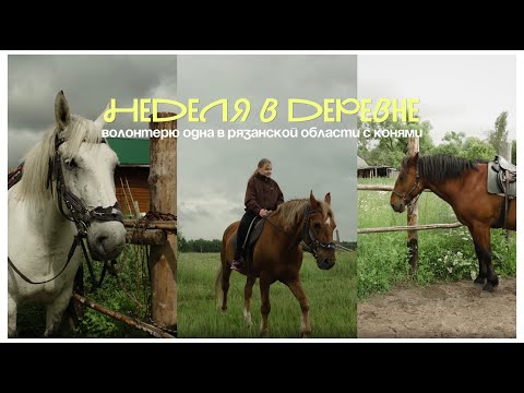 Видео: Неделя в деревне с КОНЯМИ // волонтерю в Рязанской области, solo trip, цифровой детокс