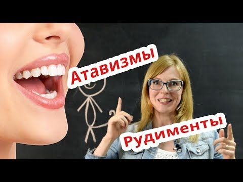 Видео: Биология | Рудименты и Атавизмы. Подготовка к ЕГЭ.