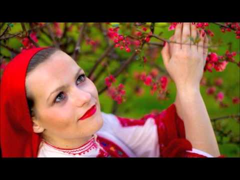 Видео: Осман Жеков и орк.Огнени ритми = Hезабравими народни