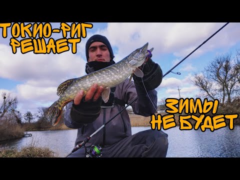 Видео: Токио-риг и большая приманка - убойное сочетание!!! Береговой спиннинг в феврале!!